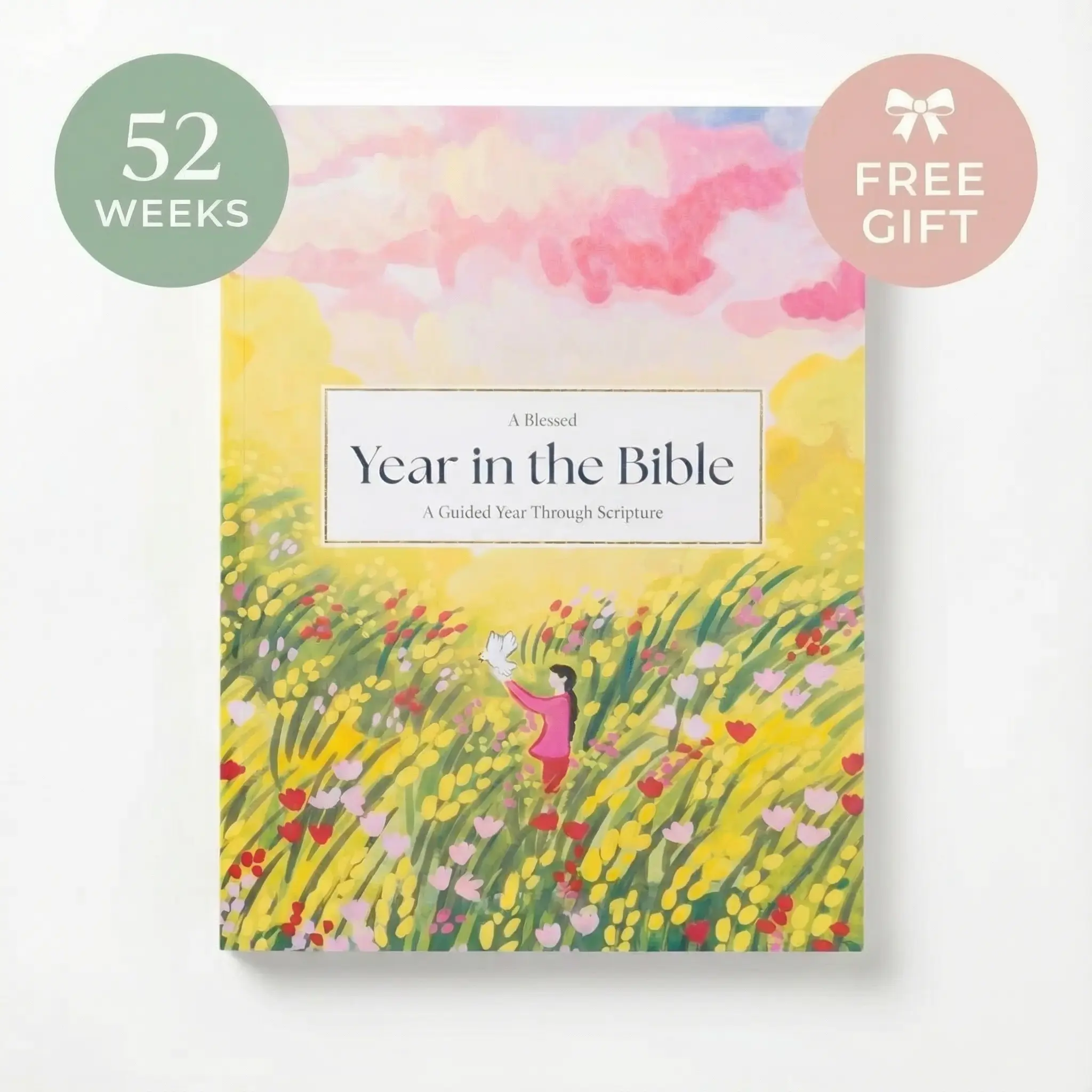 A Blessed Year in the Bible Study - Image 7