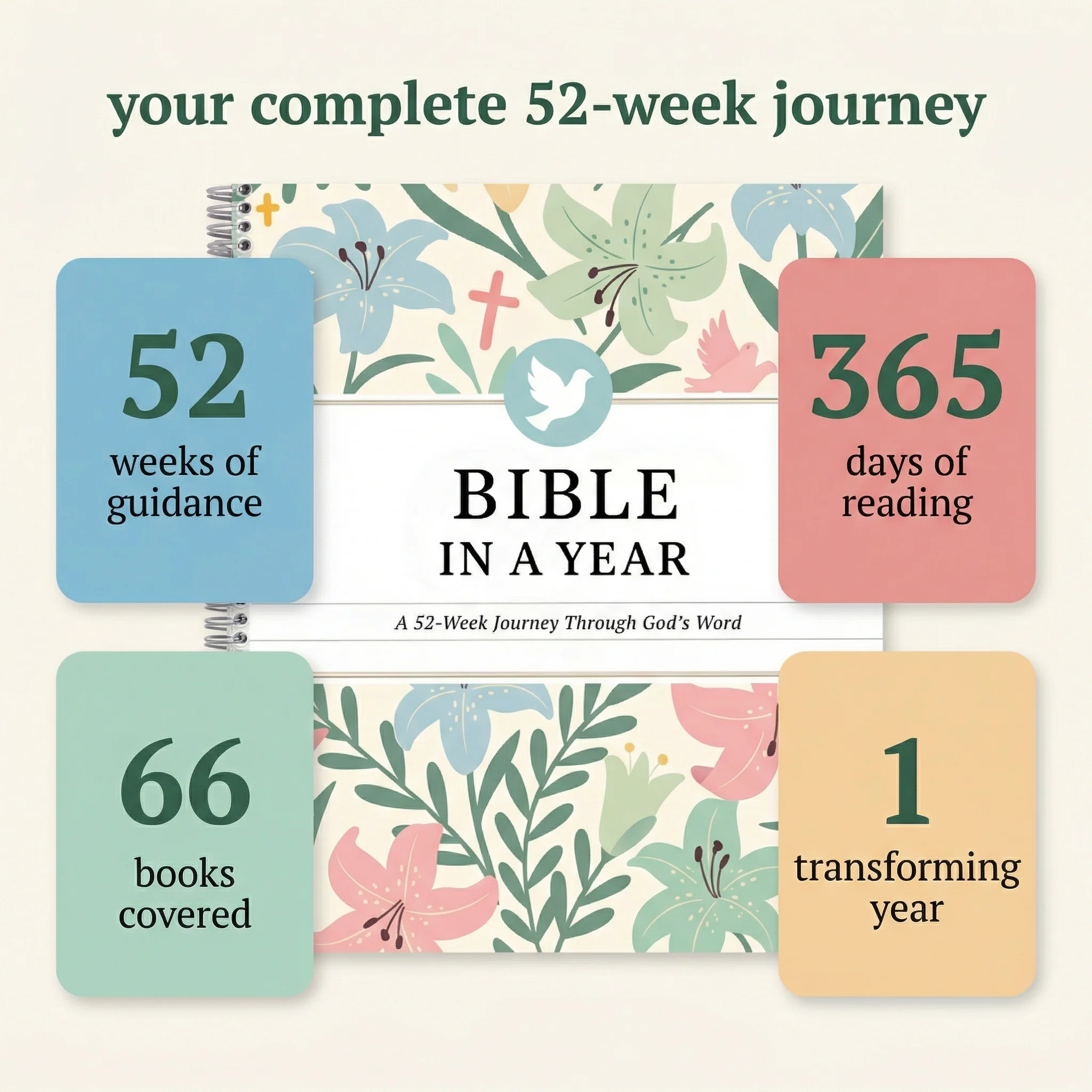 Bible In A Year: 52-Week Study (New Store) - Image 3