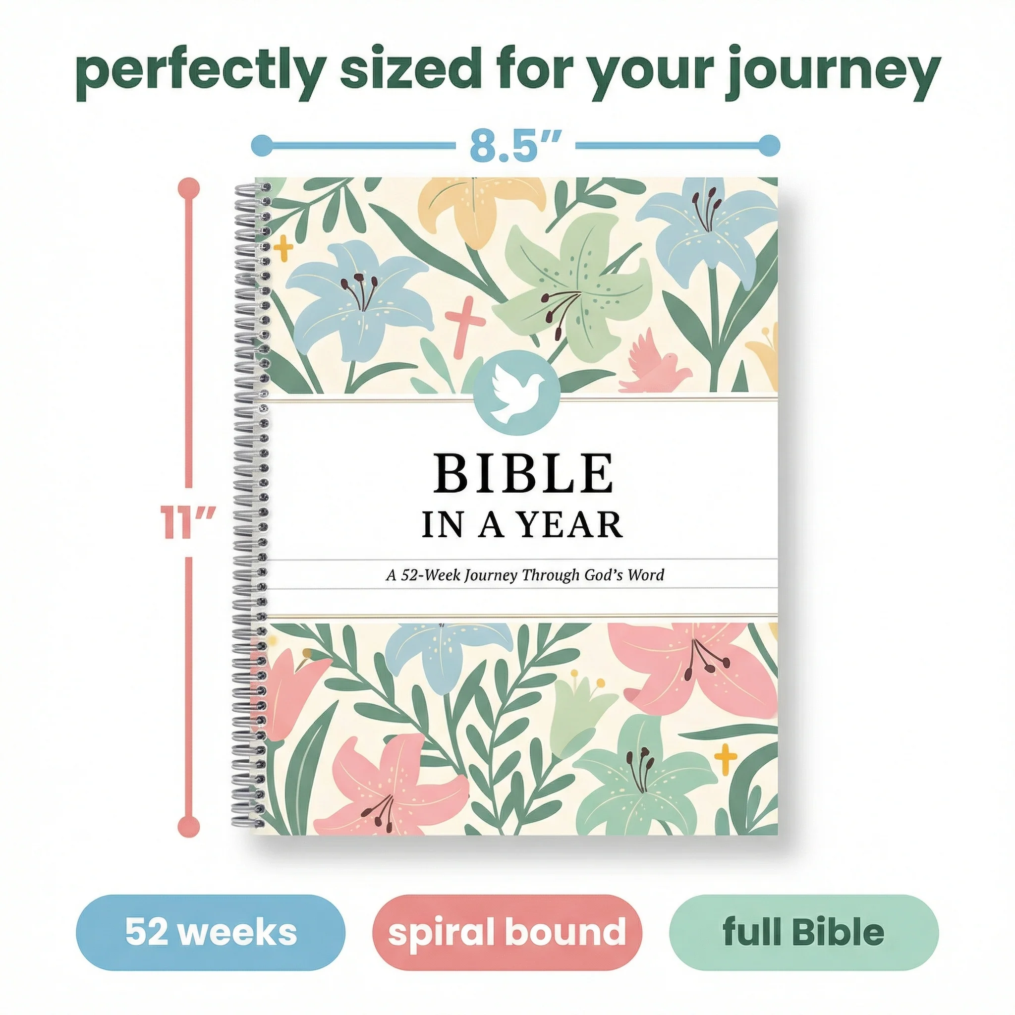 Bible In A Year: 52-Week Study (New Store) - Image 5