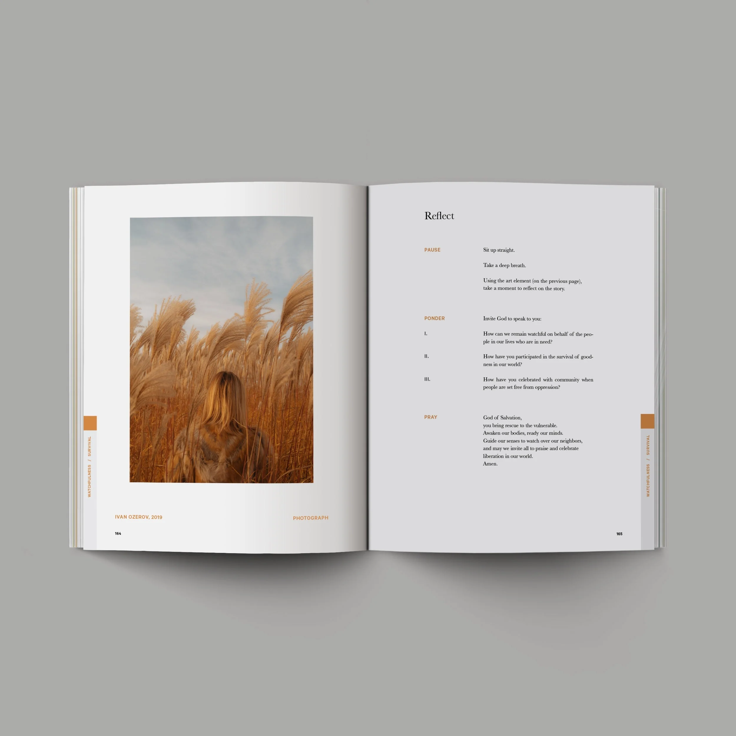 Good and Beautiful Bible Study - Vol 1 - Image 7